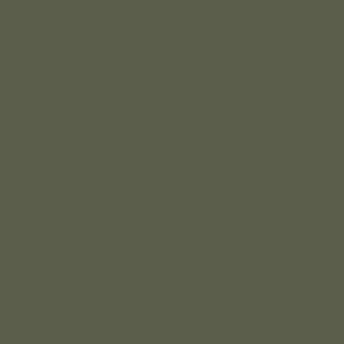 RAL 6003 RAL 6003